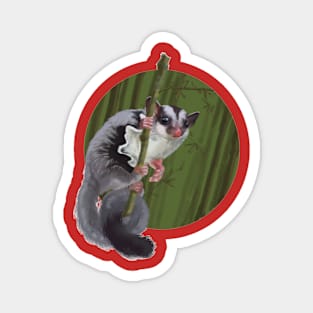 Sugar Glider Magnet