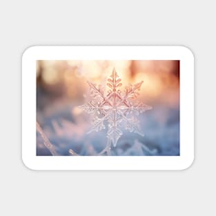 Snow Flake Nature Serene Tranquil Peace Magnet