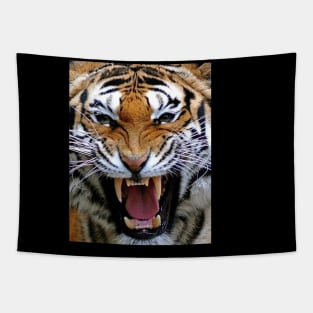 Tiger Head Tapestry