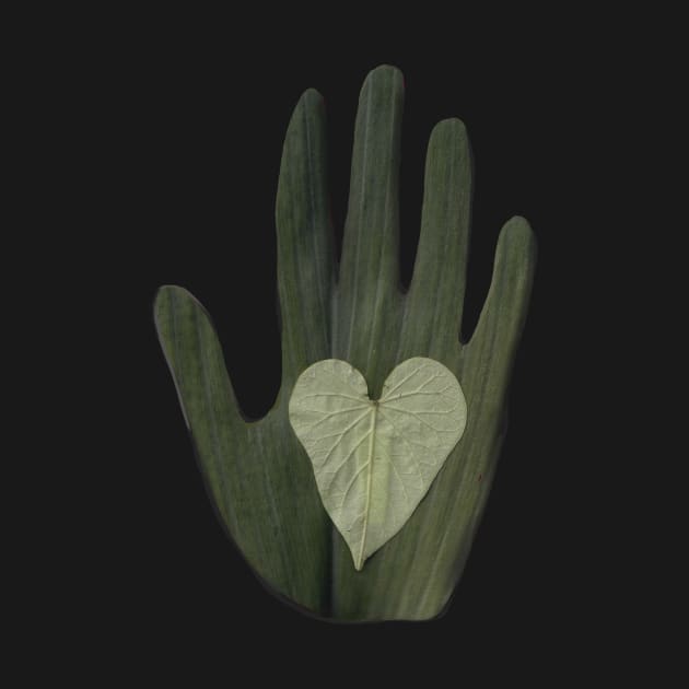 The leaf hand by Poday Wali