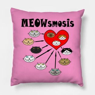 MEOWsmosis Pillow