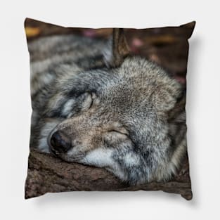 Nap Time Pillow