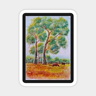 Gumtrees and Cows - Watercolour Magnet