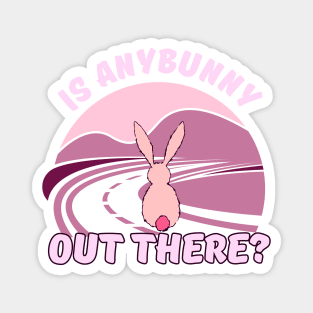 Is anybunny out there? Magnet