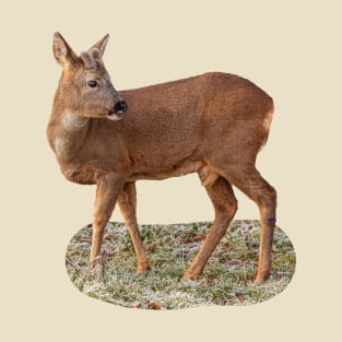 Roe Deer T-Shirt