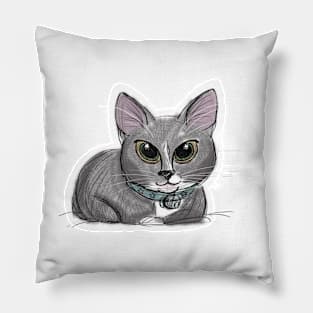 Sassy kitty Pillow