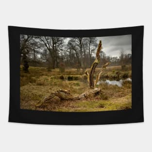 Dunham Massey - A dead tree Tapestry