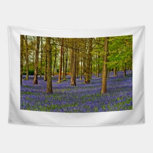 Bluebell Woods Greys Court Oxfordshire UK Tapestry