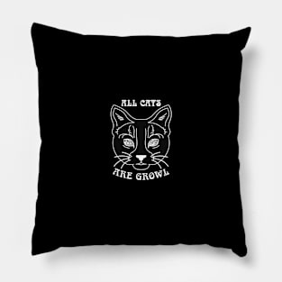 All Cats Are Growl Pillow