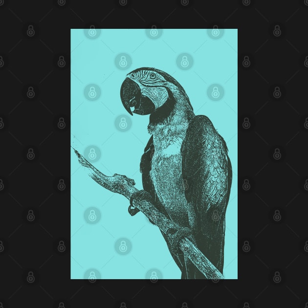 Macaw Bitmap Effect by Animalloova