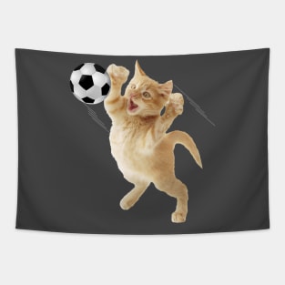 Gato Arquero de Futbol Tapestry