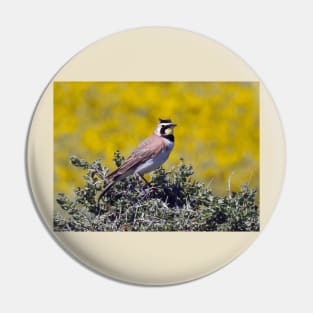 Wild birds, horned lark, wildlife gifts, nature Pin