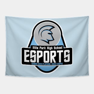 VPHS ESPORTS Tapestry