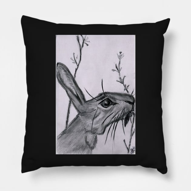 Jack Rabbit Pillow by YollieBeeArt