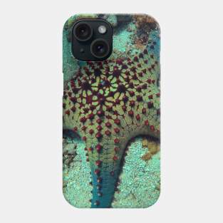 Chocolate Chip Sea Star Phone Case