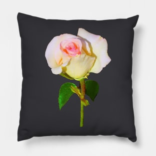 Unfolding Rosebud Pillow