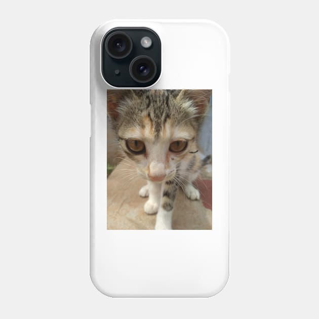 kitten Phone Case by stupidpotato1