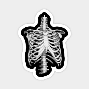 Rib Cage Floral 8 Magnet