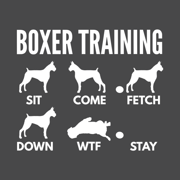 Boxer Training Boxer Dog Tricks by DoggyStyles