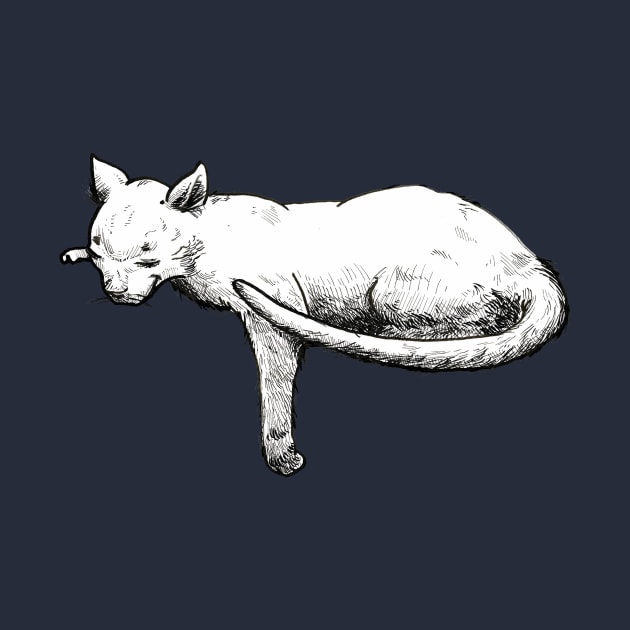 Lazy cat by Carlos CD