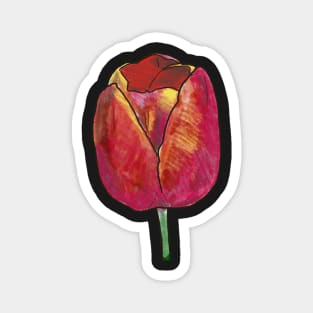 Red Tulip Magnet