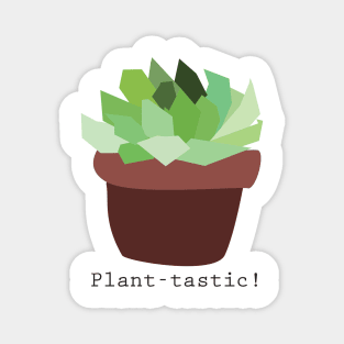 Plantastic! Succulent Magnet