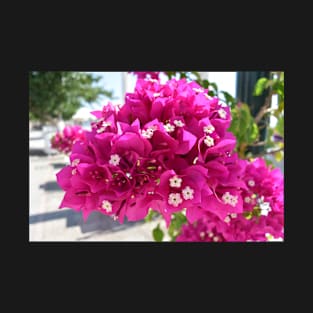 Amazing pink bougainvillea T-Shirt