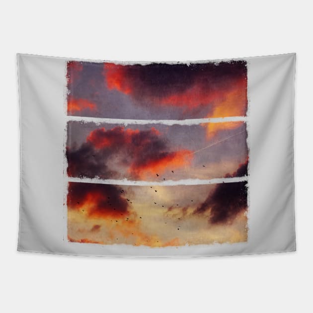 Evening Clouds and a Flock of Birds Tapestry by DyrkWyst