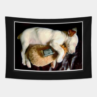 Wasted puppy - cute Jack Russell Terrier Tapestry