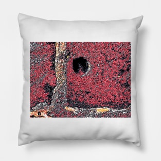 RedStone Pillow