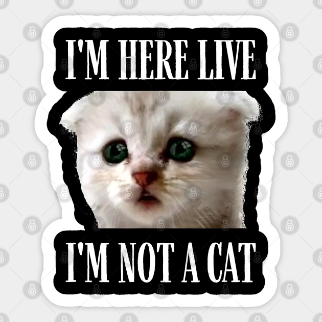 I M Here Live I M Not A Cat Funny Cat Lawyer I M Not A Cat Im Here Live Im Not A Cat Sticker Teepublic I M Here Live I M Not A Cat Funny Cat Lawyer I M Not A Cat Im Here Live Im Not A Cat Sticker Teepublic