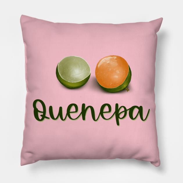 Quenepa Pillow by Veronica Morales Designer