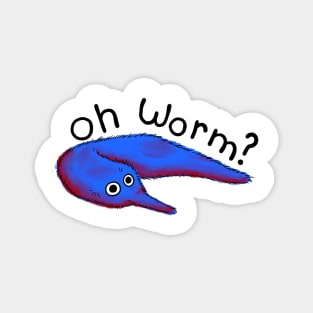 worm Magnet