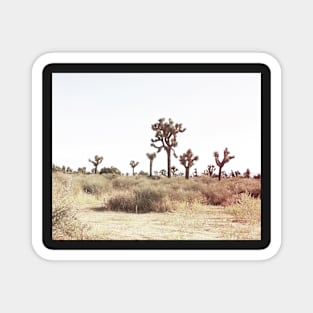 Cacti, Desert, Landscape, Sky, Nature print Magnet