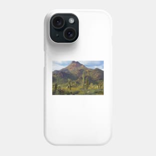 Saguaro And Teddybear Cholla Phone Case