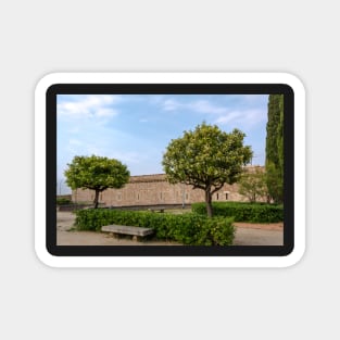 Two Citrus trees and a stone bench Magnet