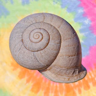 Snail Shell T-Shirt