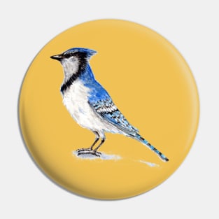 Blue Jay Pin