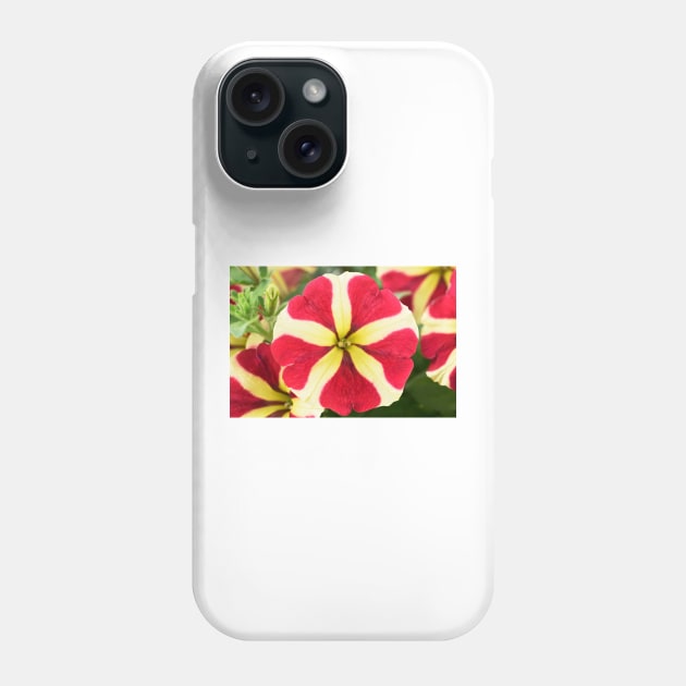 Petunia Amore Queen of Hearts Amore series Phone Case by chrisburrows