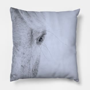 Horse Eyes Pillow