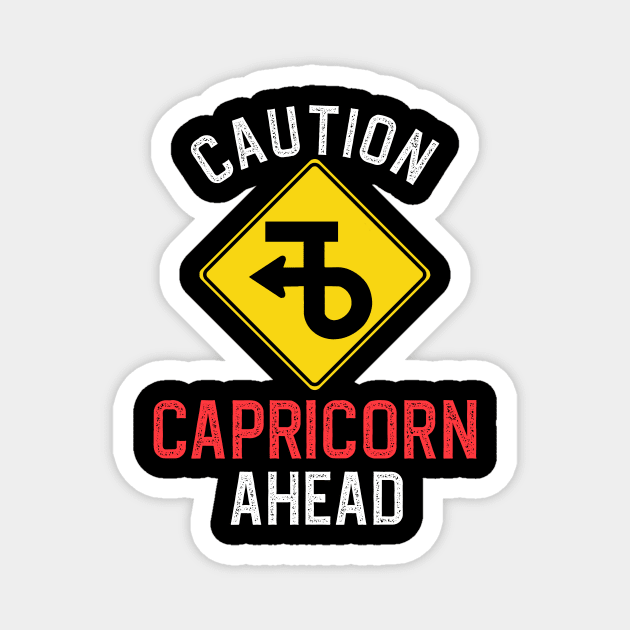 Funny Zodiac Horoscope Capricorn Road Sign Traffic Signal Magnet by WitchNitch