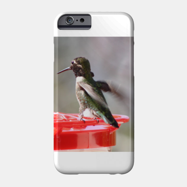 Hummingbird At Feeder Hummingbird Phone Case Teepublic