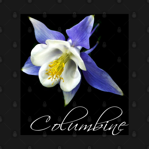 Columbine photography by art64