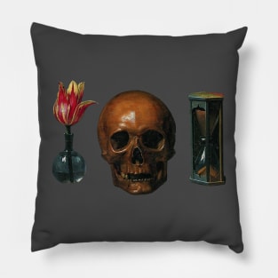 Memento Mori Vintage Stoic Skull Art Pillow