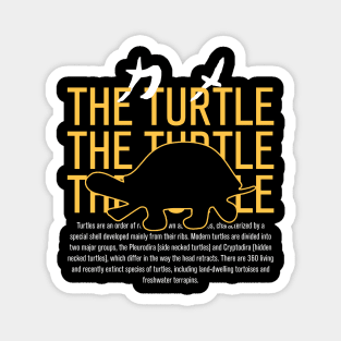 The Turtle Magnet