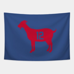 New England Patriots Tapestry