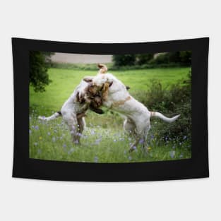 Wildflower play fight Spinoni Tapestry