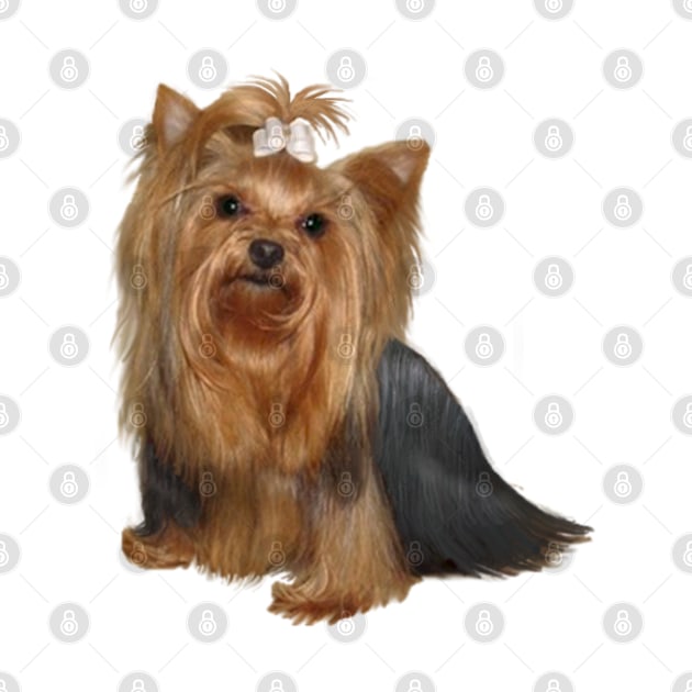 Yorkshire Terrier (A) by Dogs Galore and More