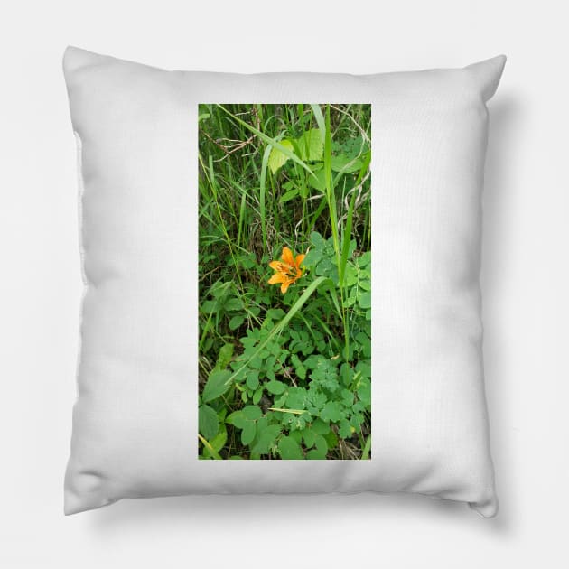 Tiger lily in the field Pillow by Kim-Pratt