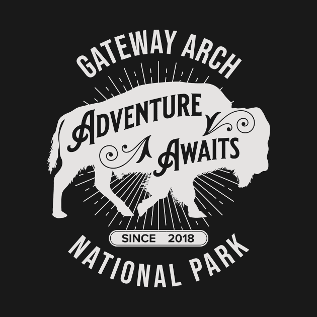 Gateway Arch National Park by Alien Bee Outdoors